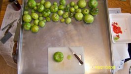 Green tomatoes (600 x 339).jpg