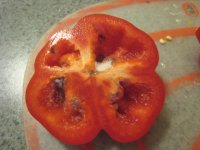 moldy pepper.jpg