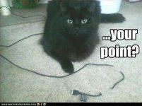 Cat-chewed cord.jpg
