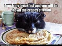 cat_crepes.jpg