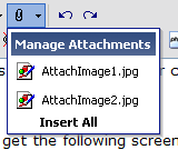 AttachImage3.gif