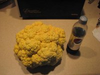 cheddar cauliflower 001.jpg