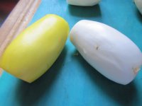 White and yellow eggplants.JPG