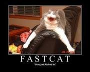 Fastcat.jpg