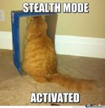 cat stealth.jpg