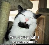 cat_reservation.jpg