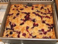 Blueberry Buckle #1.jpg