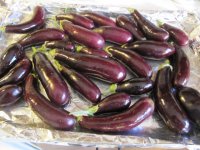 Hansel eggplants, 2.JPG