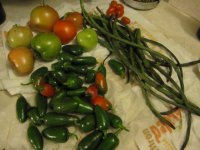 Chinese Long Beans and last harvest 2011.JPG