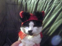 2010 Gizmo Devil Front View.jpg