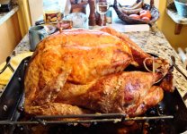 2009-thanksgiving-turkey.jpg