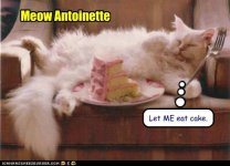 cat_antoinette.jpg