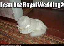 cat_royalwedding.jpg