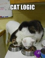 CatLogic.jpg