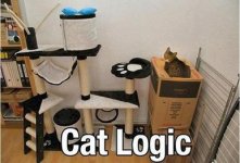 cat_logic.jpg