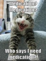 cat_meds.jpg