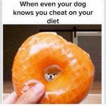 ########Donut.jpg