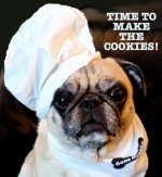 pug baker.jpg