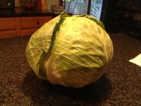 cabbage 072213.jpg