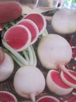 Watermelon radishes 3, seed packet.JPG