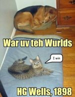 cat_war.jpg