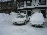 Snow, parking spaces.jpg