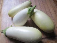 Eggplant 1.JPG