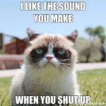 cat shut up.jpg