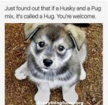 Dog hug.jpg