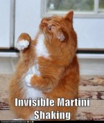 cat_invisible.jpg