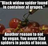 #Black Widow.jpg