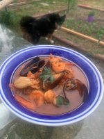 1 Cioppino.jpg