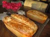 Bread loaves 1.JPG
