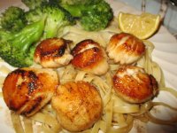 Scallops.JPG