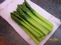 asparagus (2).jpg