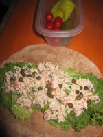 Santa fe salmon wrap 1.JPG