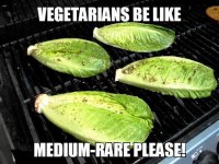 cool-lettuce-grill-vegetarians.jpg