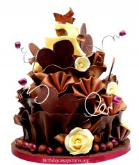 Choc birthday cake.jpg