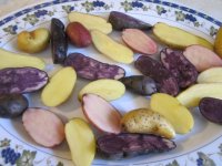 Fingerling potatoes, raw.JPG