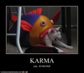 cat_karma.jpg