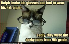 cat_glasses.jpg