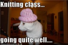 cat_knitting.jpg